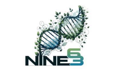 n63-footer-logo@2x